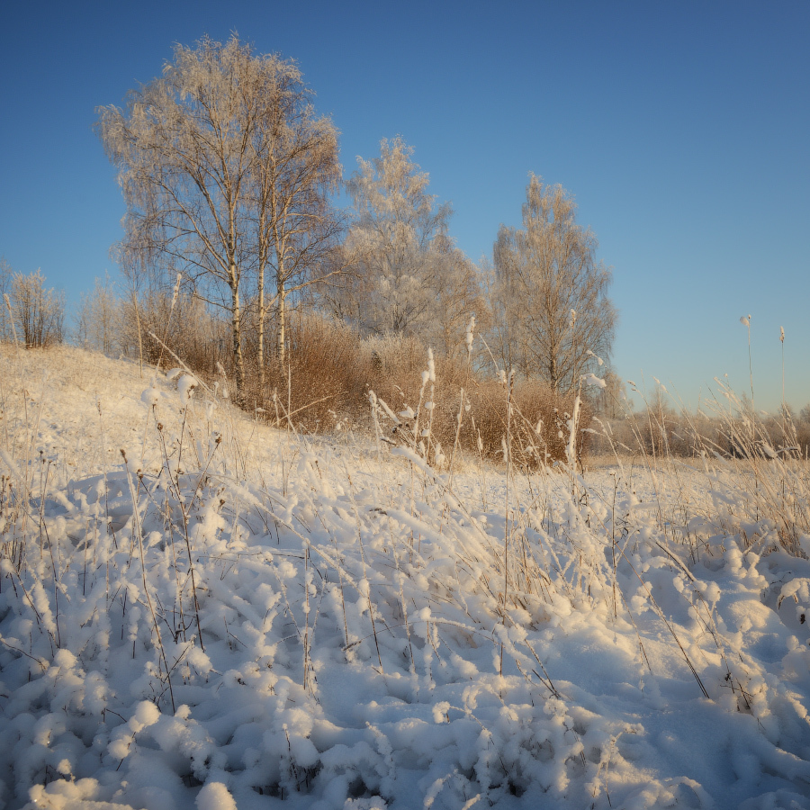 Новогодний фототур